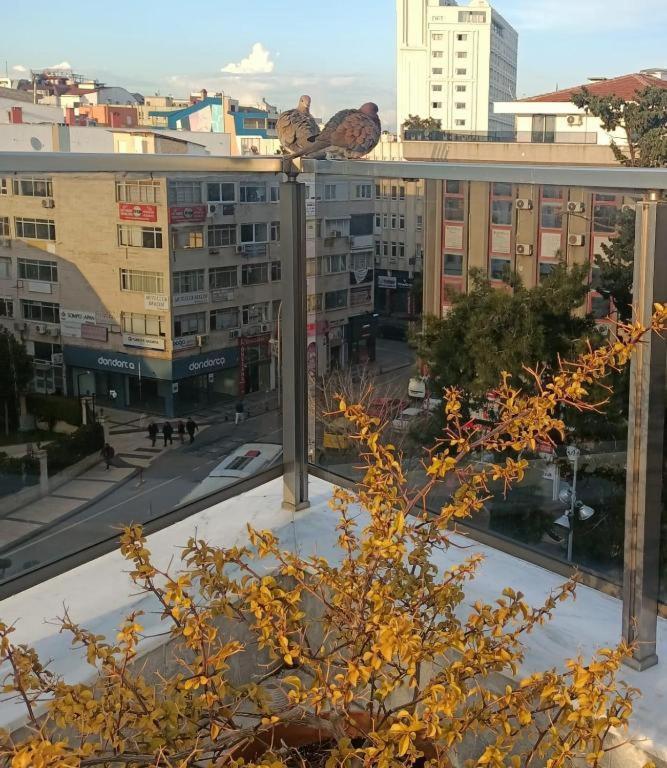 Old Town Grand Apart Hotel Antalya Exterior photo